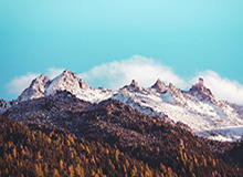 世界杯官方直播平台-不破不立 团结为先